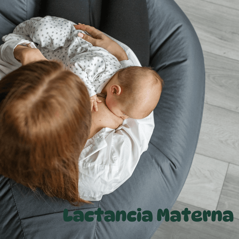 Guía Completa para la Lactancia Materna: Beneficios y Consejos Prácticos